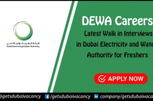 DEWA Careers