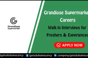 Grandiose Supermarket Careers
