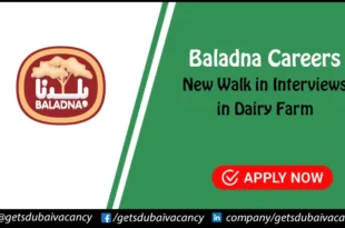 Baladna Careers