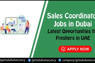 Sales Coordinator Jobs in Dubai